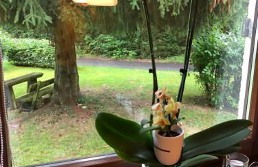 Sternenhimmel 2 - Foto 21