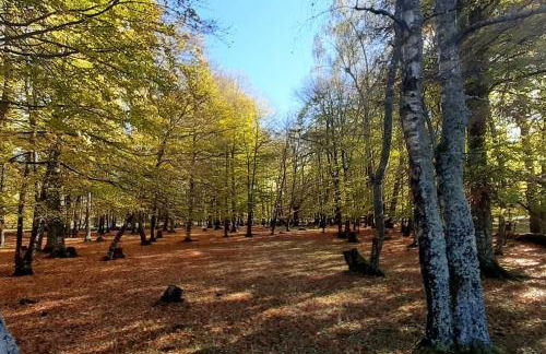 Cœur de volcan - Foto 24