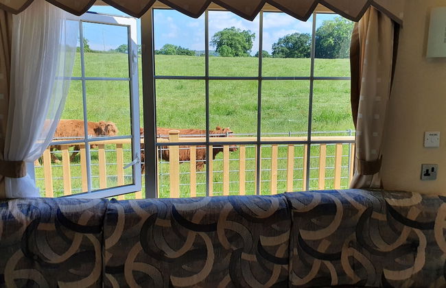 Gaerhyfryd Static Caravan - Foto 2