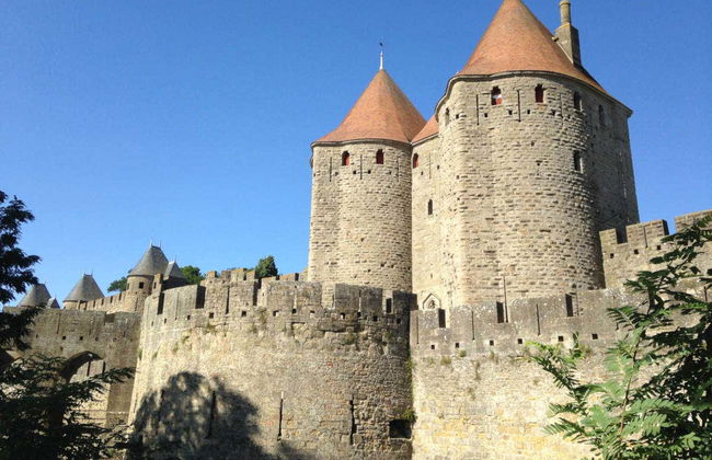 Carcassonne Private Tour - Foto 2