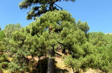 Villa Revolcona - Foto 47