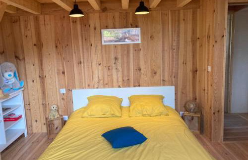 :Le tchanqué du bassin d'arcachon - Foto 9