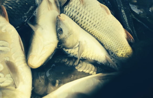 Remarkable 1-bed Apartment in Huntingdon - Foto 5