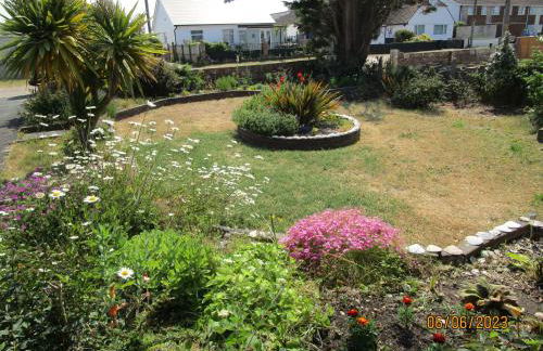 Sea Shells - Foto 39