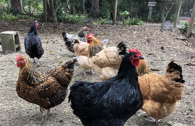 Mansfield on the Manning - Photo 26