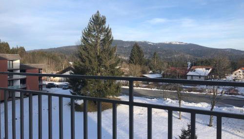 Ferienwohnung im Dreiländereck - Foto 5