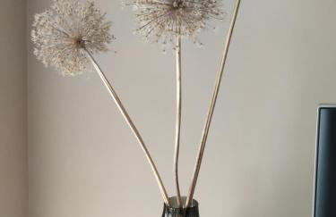 APARTAMENT MAGNOLIA - Foto 12