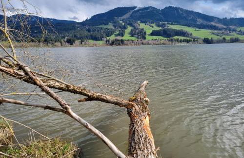 Wertacher Hörnleblick - Photo 22