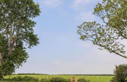 Gwel-y-Rhos - Foto 34