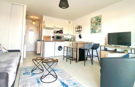 Studio DUNES de NALA avec balcon vue Dunes et latérale Mer pour 4 pers 100m plage wifi ménage compris - Foto 5