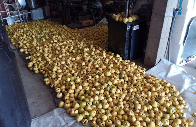 Salas Farma 47 - Photo 36