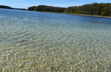 Domki i Pole Namiotowe Pod Sosnami - Foto 10