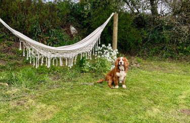The Longhouse at Pencwm Escapes - Foto 14