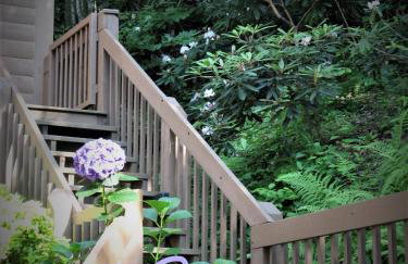 Top of the Line Asheville Mountain Cabin - Foto 70