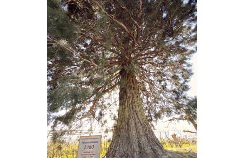 Bergchalet Mirabell - Hofgut - Foto 4