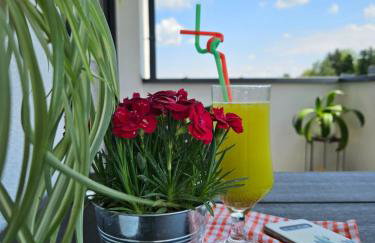 Old Town Đurđevac- 1 garažno mjesto, besplatan wifi te ulaznice za Hrvatsku saharu, mini zoo - Foto 31