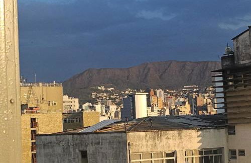 Capivara Urbana - Foto 14