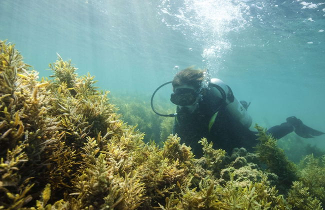 Aparthotel Adagio Abu Dhabi Al Bustan - Photo 52