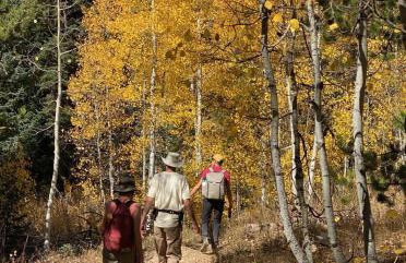 Jack Rabbit - Foto 13