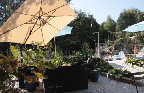 Bosque dos Amieiros - Foto 38