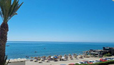 Wild Palms Apartment - Photo 4