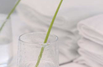 Eastside - Architect designed retreat with wood-fired sauna - Foto 28