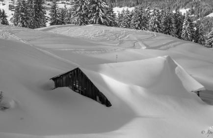 Chez Francine - Photo 18