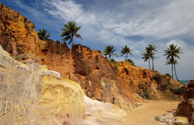 Chocolate com Pimenta Edifício - Photo 57