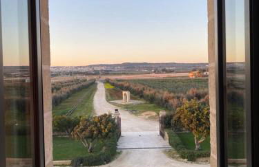 Masseria Sacramento - Foto 29