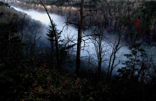 Rabbits Run Mountain Retreat - Foto 43