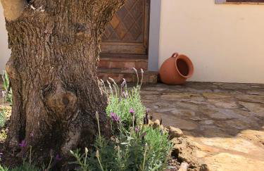 Villa Anna - Foto 39