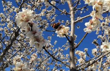 Apartman Milanko - Foto 59