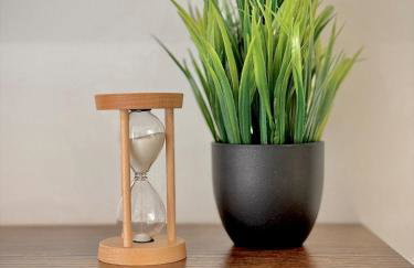 Wood & Teal Nest - Foto 18