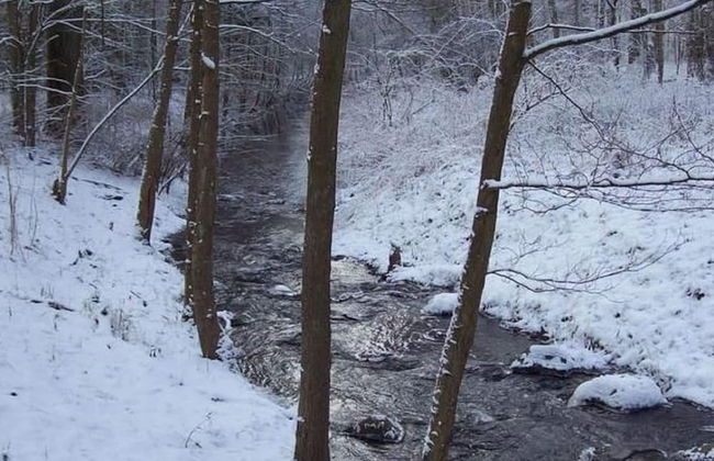 Cozy Holiday Home in Kappe With Balcony - Foto 22