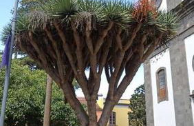 Wagner - Beach - Appartement - Foto 15