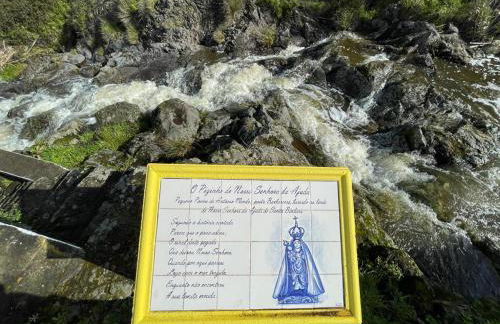 Casa Às Oito - Photo 40