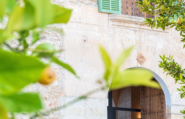 Agroturisme Subies - Photo 24