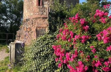 Au pied des vignes - Foto 32