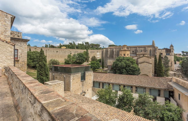 AS Palau dels Alemanys - Foto 74