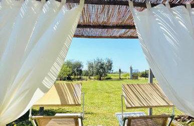 Az. Agricola Agriturismo Lo Schiucciolo - Photo 5