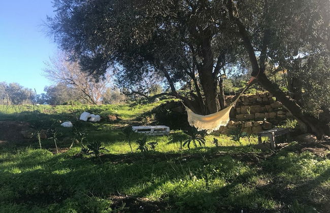 Biovilla Sustentabilidade - Foto 33