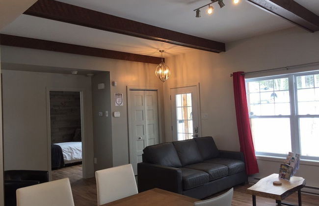 Domaine du parc de la forêt ouareau - Photo 15