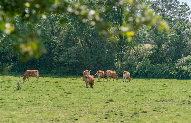 "Jeppe" - 50m to the fjord - Foto 26