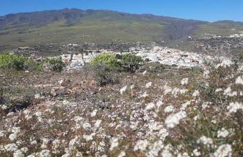 CASA GRANDE FINCA EL CALABRES - Foto 30