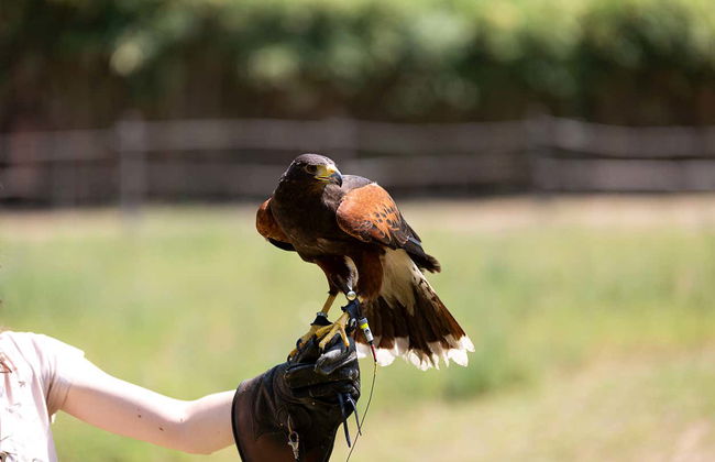 Billet pour Dreams Eco Park à Foz do Iguaçu - Photo 1