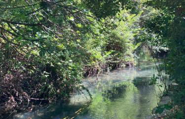 Petit cocon avec terrasse - Photo 15