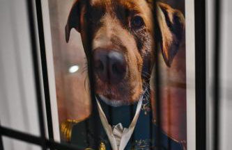 Landhaus Sonnenwinkel - Foto 43