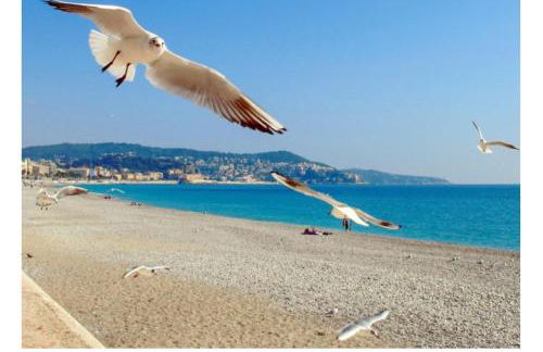 Maison complète Ganzes Haus House 6 Peronnes La Finière Seealpen Isola Village bei Nizza Alpes -Maritimes près de Nice 70 km - Photo 54