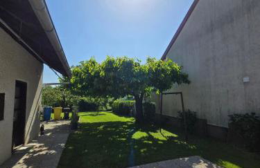 Apartman Ivana - Foto 10