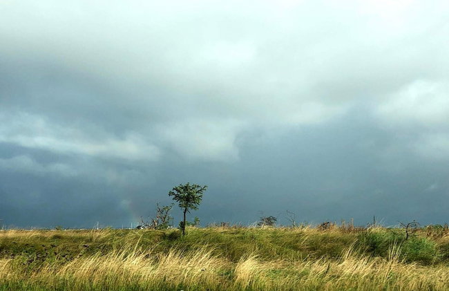 5 Person Holiday Home in Vinderup-by Traum - Photo 13